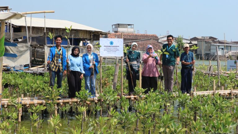 Prodi S1 Akuntansi FEHBi Unimus Gelar Pengabdian kepada Masyarakat, Berdayakan Kelompok Nelayan melalui Penguatan Tata Kelola Keuangan dan Budidaya Mangrove